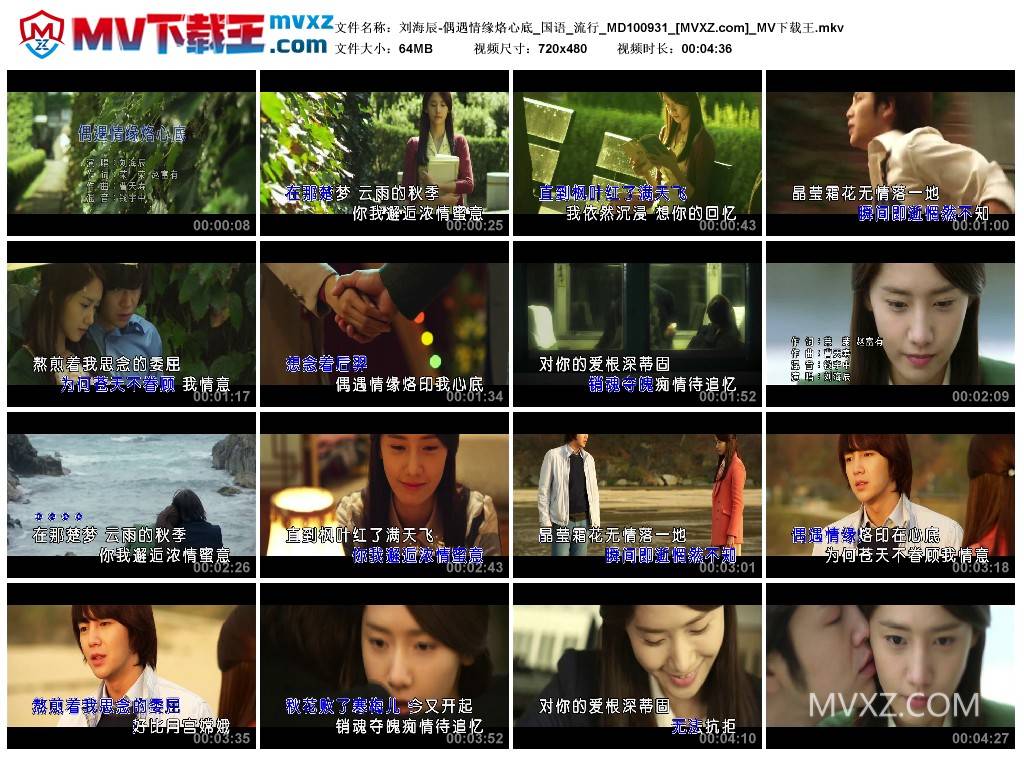 刘海辰-偶遇情缘烙心底_国语_流行_MD100931